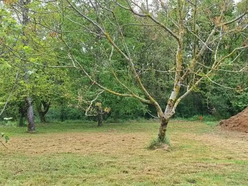 Terrain à bâtir, 600 m² - Pibrac (31820)