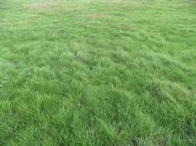 Terrain à bâtir, 900 m²
