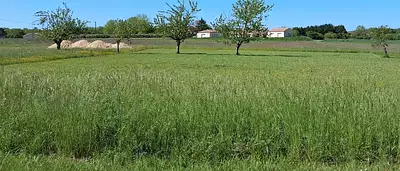 Terrain à bâtir, 2 385 m²