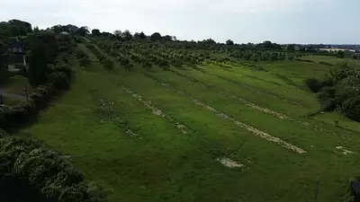 Maison neuve, 81 m²