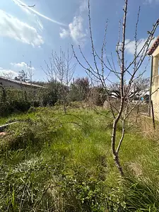 Terrain à bâtir, 460 m²