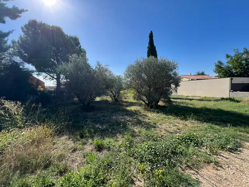 Terrain à bâtir, 509 m² - Montpeyroux (34150)