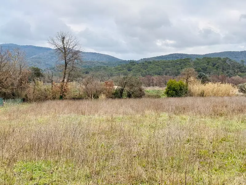 Terrain à bâtir, 967 m² - Pignans (83790)