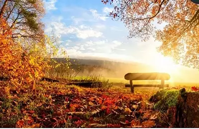 Terrain à bâtir, 342 m²