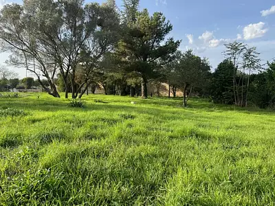Maison neuve, 98 m²