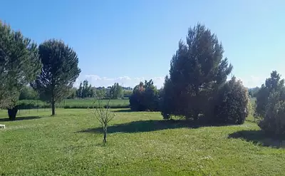 Terrain à bâtir, 1 650 m²