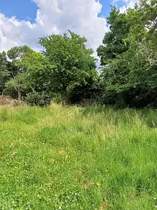 Maison neuve, 78 m²