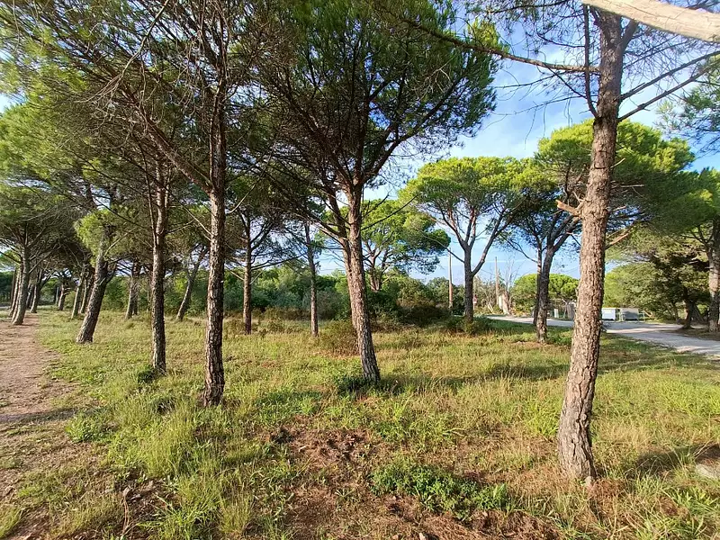 Maison neuve, 122 m² - Puget-sur-Argens (83480)