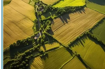 Maison neuve, 50 m²