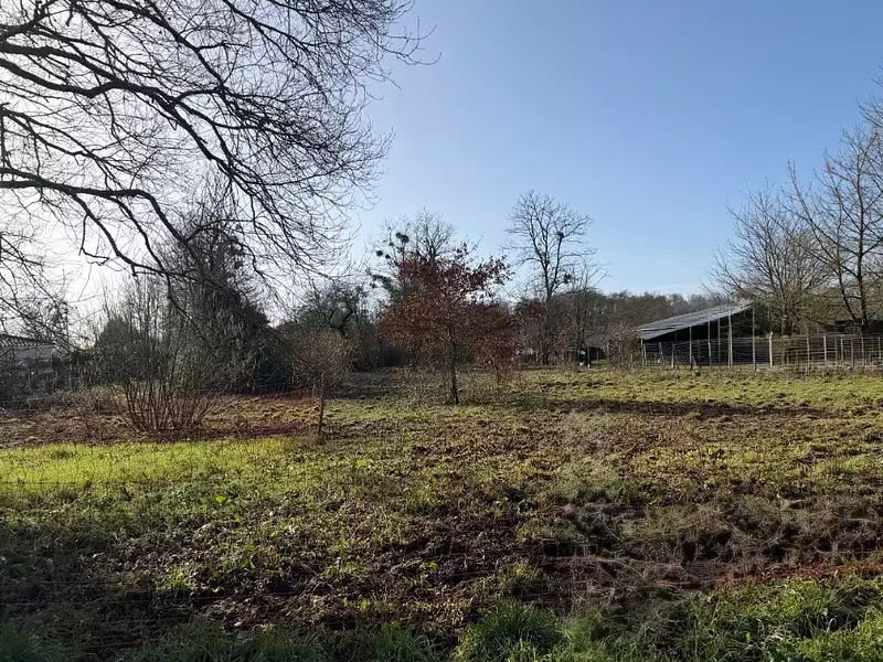 Terrain à bâtir, 3 000 m² - Villandraut (33730)