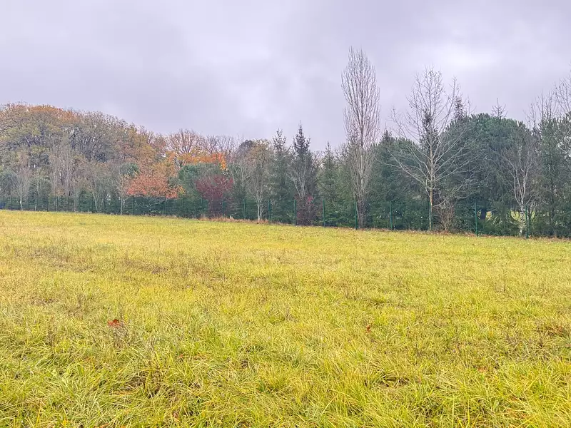 Terrain à bâtir, 999 m² - Mensignac (24350)