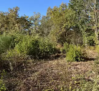 Maison neuve, 155 m²