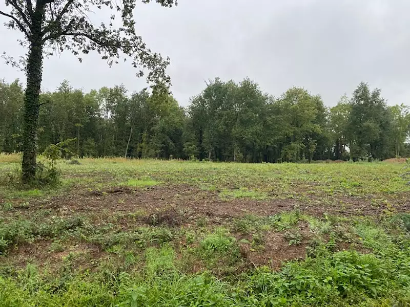 Maison neuve, 96 m² - Saint-Etienne-de-Vicq (03300)