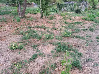 Maison neuve, 98 m²