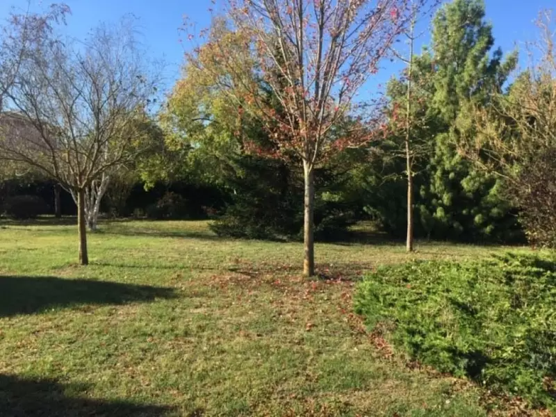 Terrain à bâtir, 740 m² - La Salvetat-Saint-Gilles (31880)