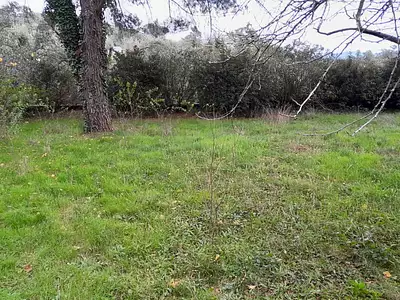 Maison neuve, 65 m²