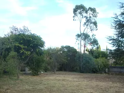 Terrain à bâtir, 490 m²