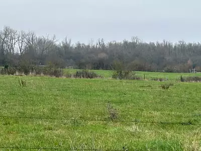 Maison neuve, 165 m²