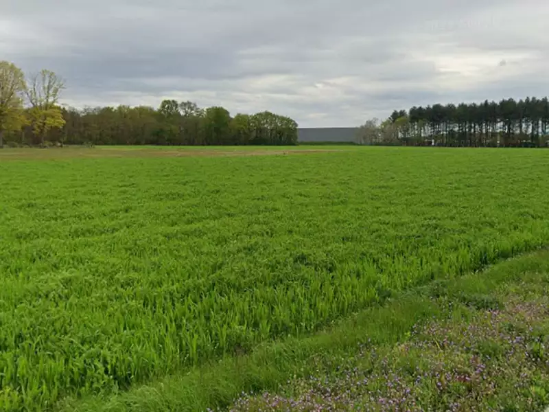 Terrain à bâtir, 476 m² - Fay-aux-Loges (45450)