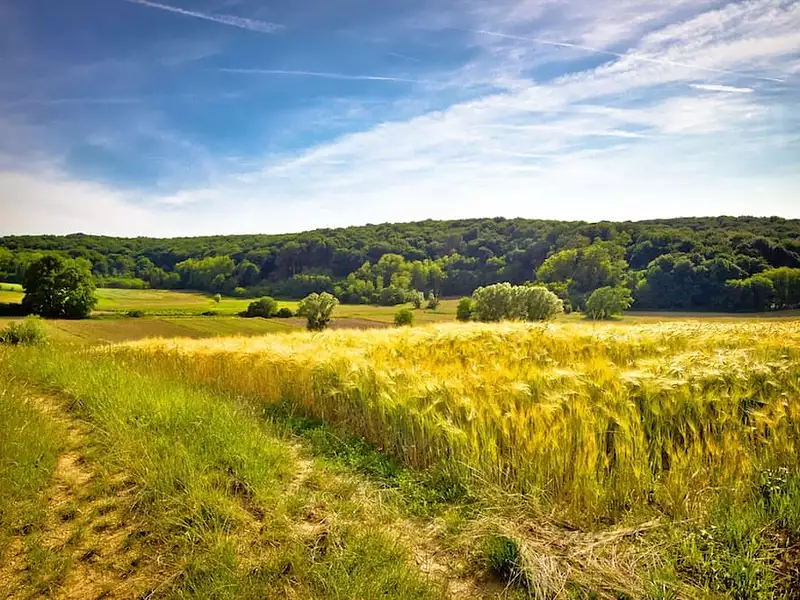 Maison neuve, 79 m² - Clères (76690)