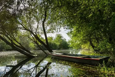 Terrain à bâtir, 445 m²