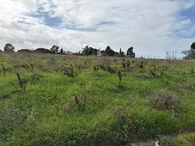 Maison neuve, 120 m²