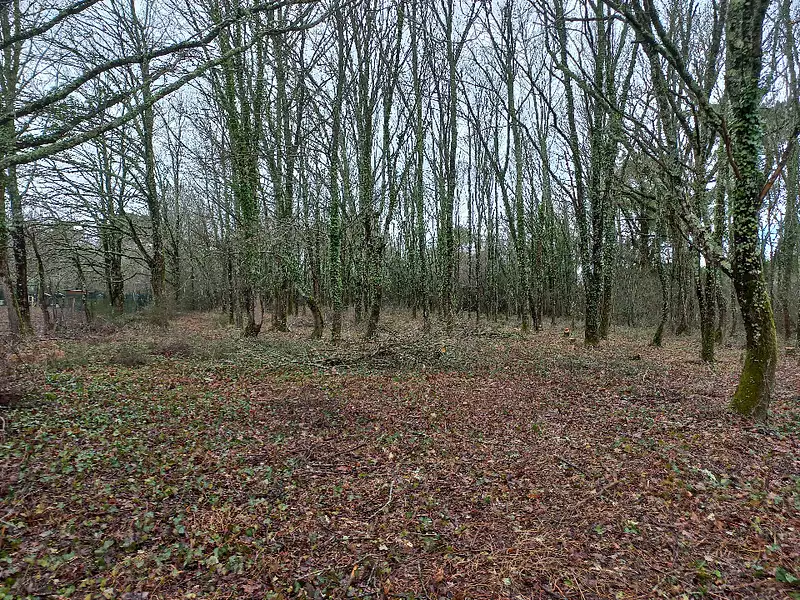 Terrain à bâtir, 2 000 m² - Saint-Médard-de-Mussidan (24400)