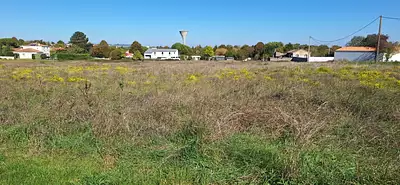 Maison neuve, 60 m²