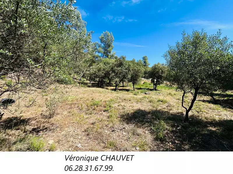 Maison neuve, 100 m² - Taradeau (83460)