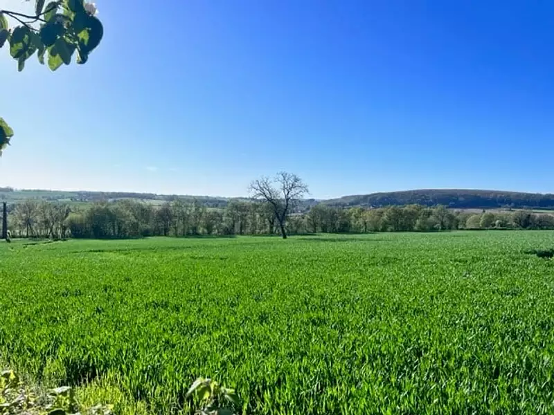 Maison neuve, 73 m² - Montigny-aux-Amognes (58130)