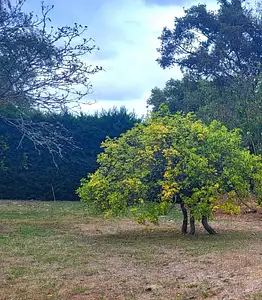 Terrain à bâtir, 430 m²