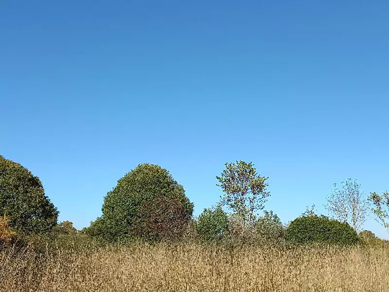 Terrain à bâtir, 3 500 m² - Saint-Martial-d'Artenset (24700)