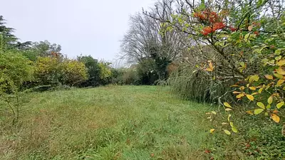 Terrain à bâtir, 490 m²