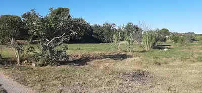 Terrain à bâtir, 499 m²