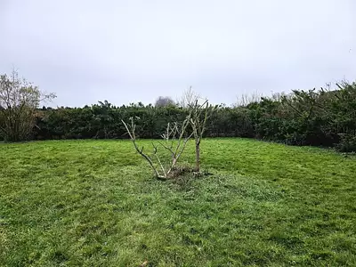 Maison neuve, 100 m²