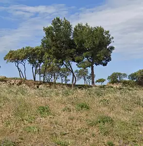 Terrain à bâtir, 430 m²