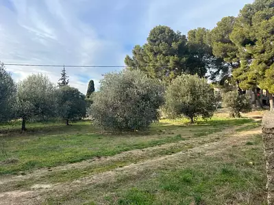 Maison neuve, 80 m²