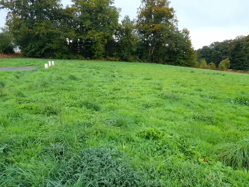 Maison neuve, 107 m² - Couzeix (87270)