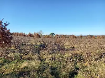 Terrain à bâtir, 720 m²