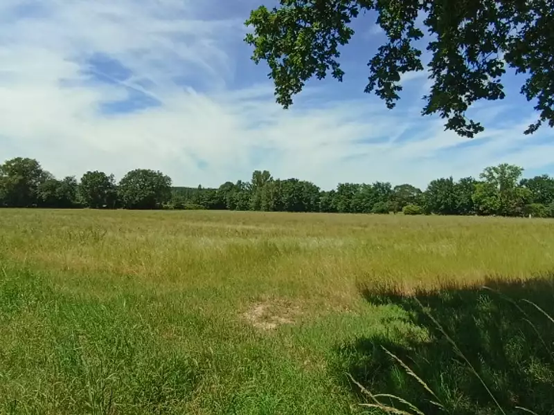 Terrain à bâtir, 700 m² - Menville (31530)