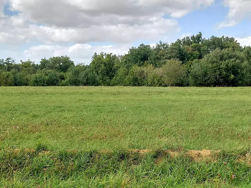 Terrain à bâtir, 374 m² - Monnaie (37380)