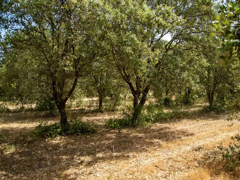 Maison neuve, 83 m² - Grillon (84600)