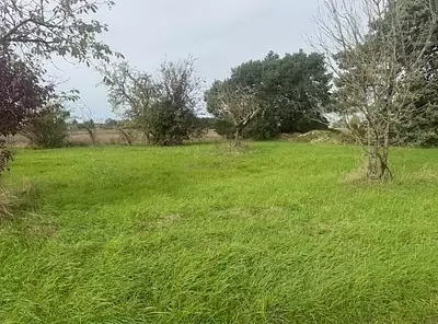 Maison neuve, 100 m²