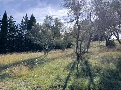 Terrain à bâtir, 515 m²