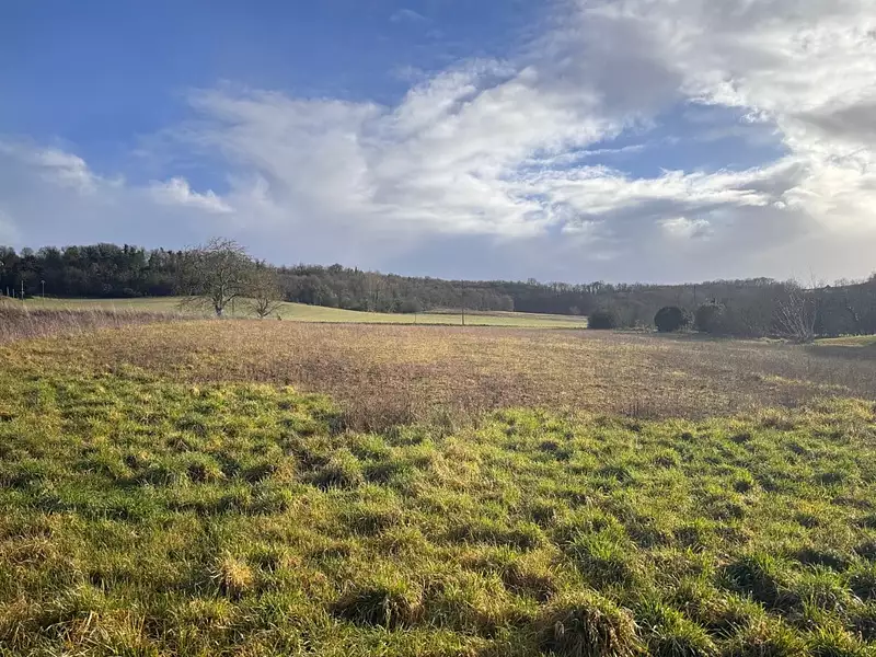 Terrain à bâtir, 1 500 m² - Champagne-et-Fontaine (24320)