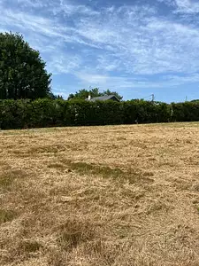 Terrain à bâtir, 536 m²