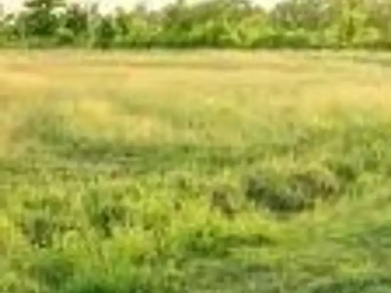 Terrain à bâtir, 1 450 m² - Thouars (79100)