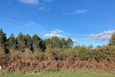 Maison neuve, 100 m²