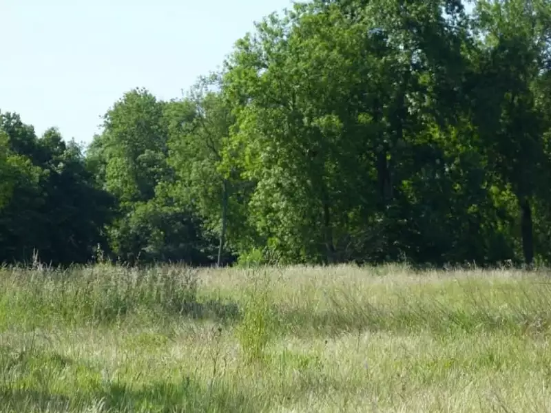 Terrain à bâtir, 398 m² - Carrières-sur-Seine (78420)