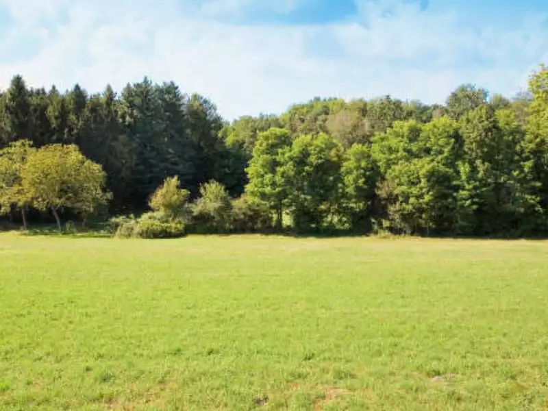 Terrain à bâtir, 699 m² - Wingles (62410)